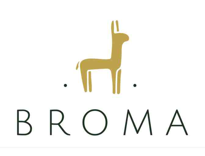 Organic Cacao Chocolate Sauce- Dual Pack