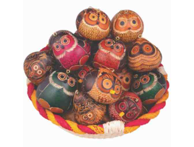 Mini Owl Gourd Ornament Mix