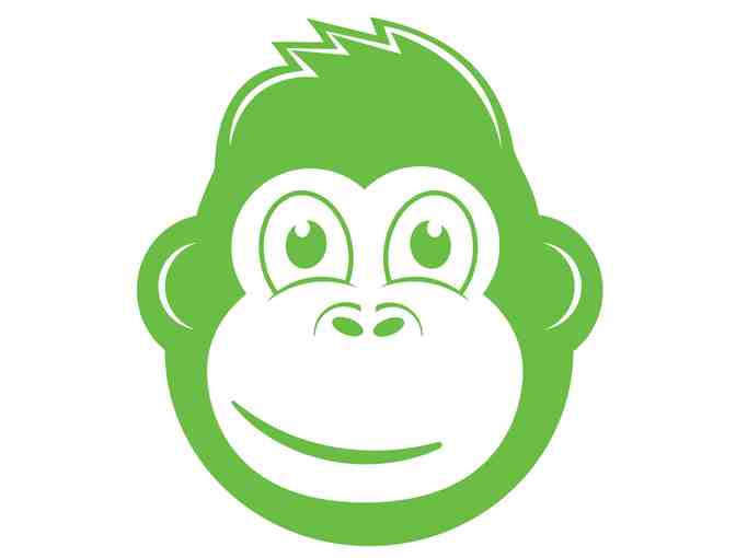 Serenity CBD Drops - 1000mg - 2 pack