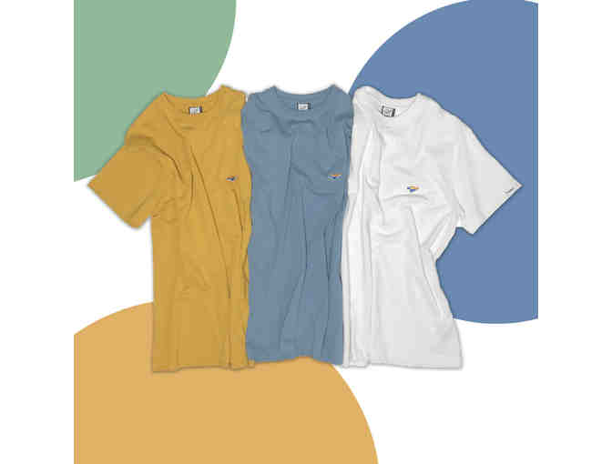 Reedley Product Bundle