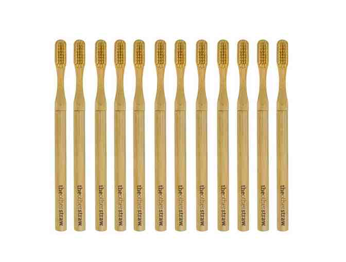 The Other Straw Bamboo Toothbrush Bulk Pack