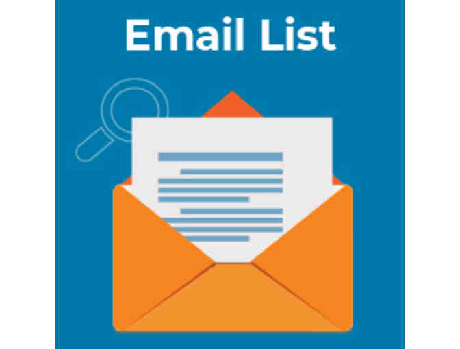 Email Broadcast Email Marketing Audit