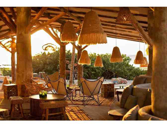 Palmaia: The House of Aia