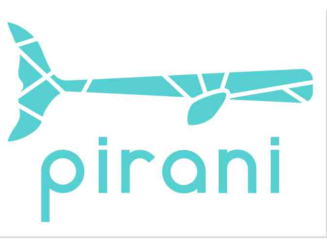 Pirani Party Tumbler