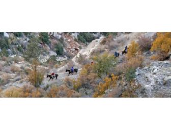 'Historic El Tovar' Two Night Stay and Mule Ride Adventure for Two