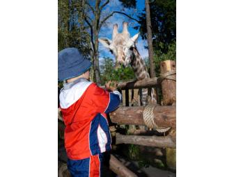 Woodland Park Zoo: One(1) Family Fun Pack
