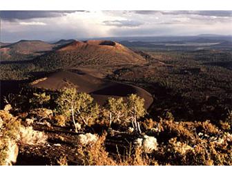Day Tour With Flagstaff Naturalist for Four
