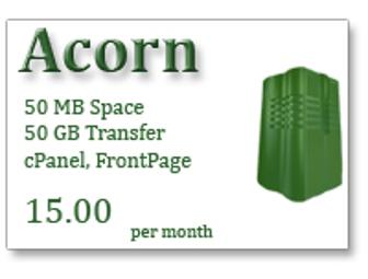 Domain Name + Web Hosting for One Year