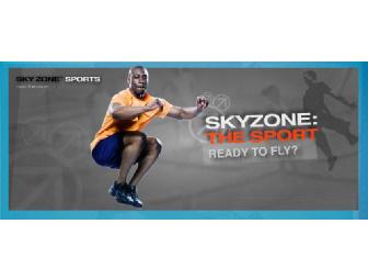 SkyZone Sports ~Rocklin, CA