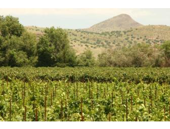 Organic Wine Tour for Two at Granite Creek Vineyards, AZ