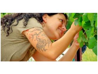 Page Springs Cellars Harvest Festival