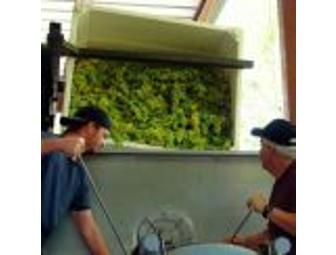 Page Springs Cellars Harvest Festival