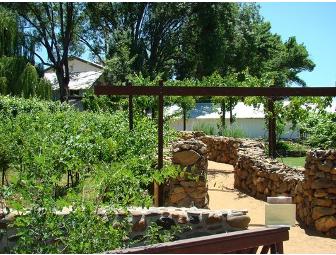 Page Springs Cellars Harvest Festival