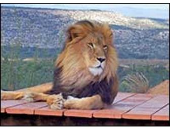 Out of Africa Wildlife Park Family Package