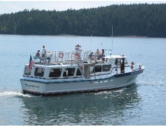 Whale Watch Sightseeing Charter with Orcas Island Eclipse Charters