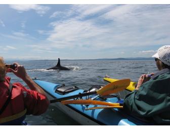 Kayak for two (2) with Sea Quest Kayak Tours