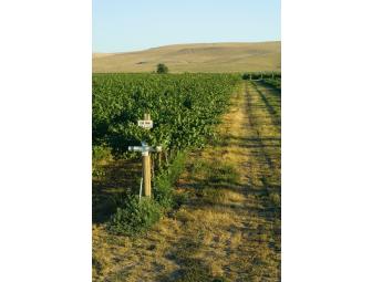 Collection of Wine from Seven Hills Winery