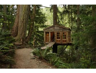 Treehouse Workshop Package