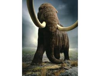 Royal BC Museum Family Pass, Victoria