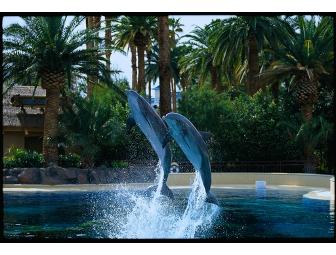 Mirage: Vegas Starts Here Package for Two