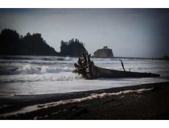 Experience the Quileute Oceanside Resort for one night