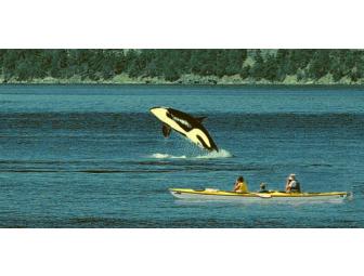 Kayak for two (2) with Sea Quest Kayak Tours