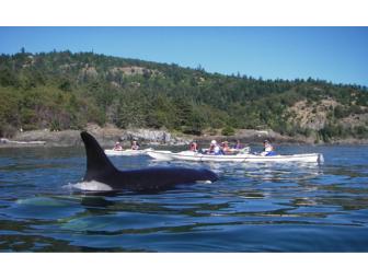 Kayak for two (2) with Sea Quest Kayak Tours
