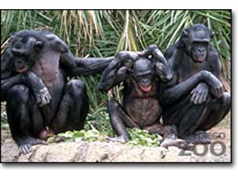 **San Diego Zoo and Safari Park: Family Four Pack of San Diego Zoo 1 Day Passes