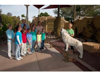 **San Diego Zoo and Safari Park: Backstage Fun Package!