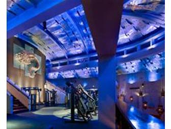 David Barton Gym: Guest Member Package