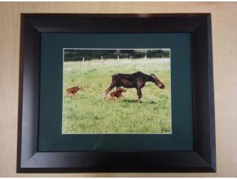 Family of Three: Framed Print
