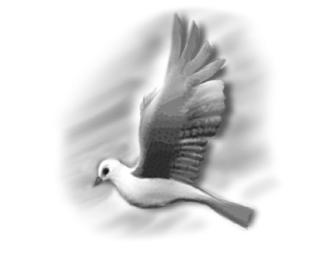 Caryn's New World - The Valley