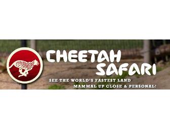 San Diego Safari Park: Cheetah Safari Family Four Pack