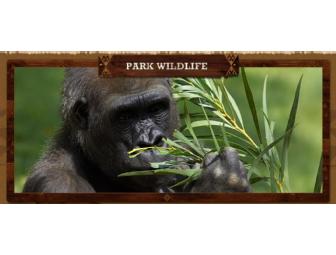 San Diego Safari Park: Family Four Pack of Africa Tram Safari Tickets