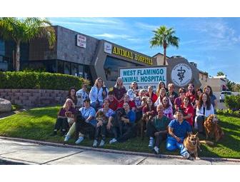 Dog or Cat Neuter Package