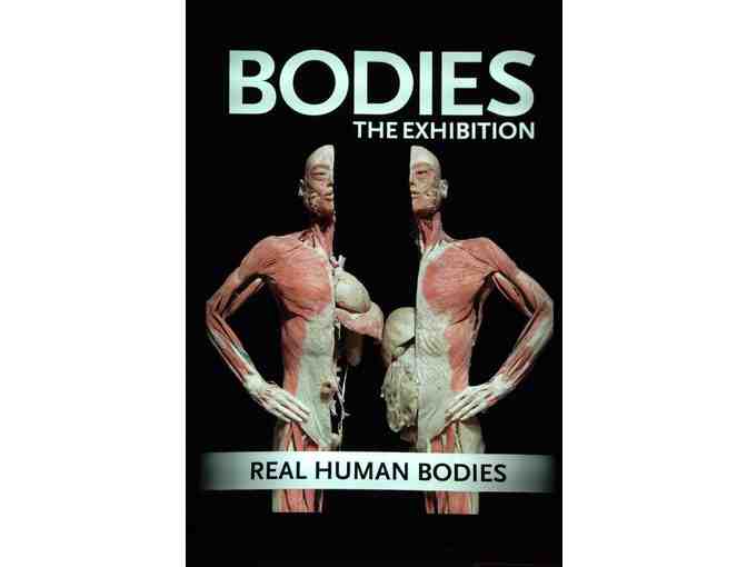 BODIES...The Exhibition: Four Pack of Tickets