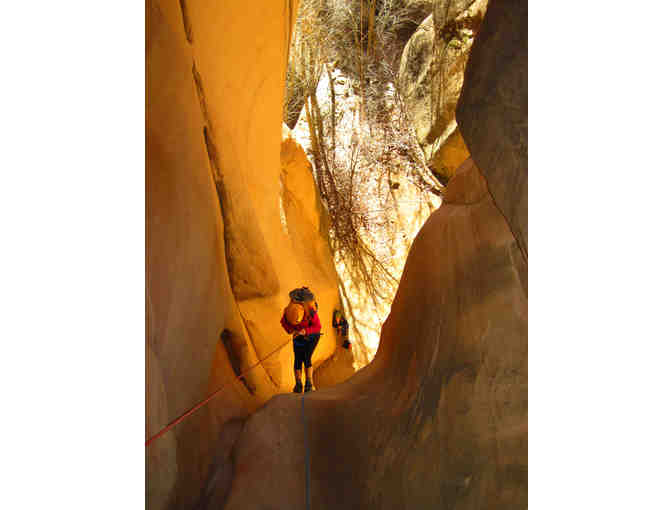 Zion Adventure Company: Canyoneering Trip for Four