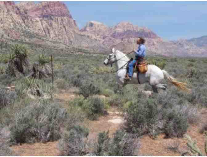 Vegas Horse Tours: 2 Hour Tour for 2