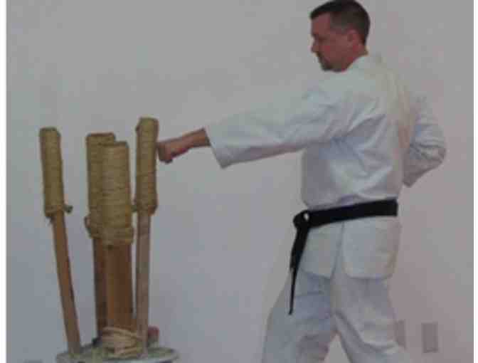One Month of Shotokan Karate Classes and Uniform from Traditional Karate & Aikido