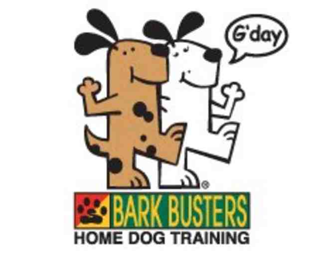 Bark Busters Bronze Certificate Dog Training