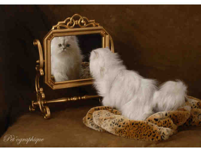 Pet'ographique: Pet + Family Photography Session