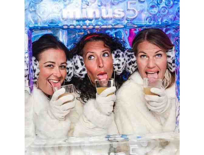 Minus5 Ice Bar: VIP Experience for Four