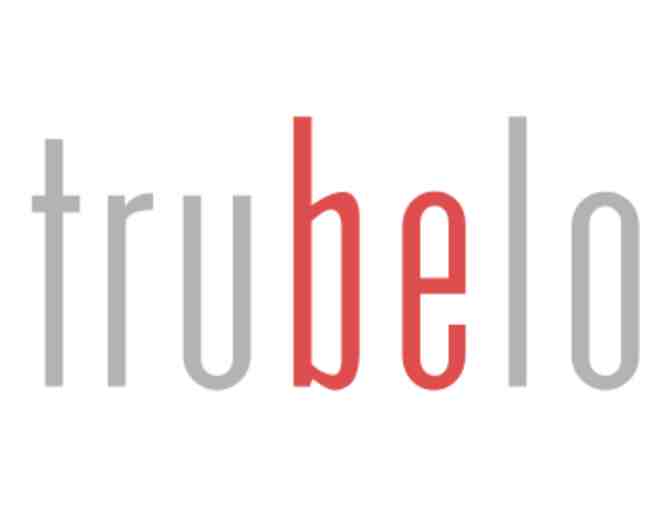 Trubelo Business Plan for Entrepreneurs and Small Businesses