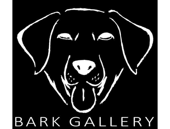 Bark Gallery: Pet Photography Package