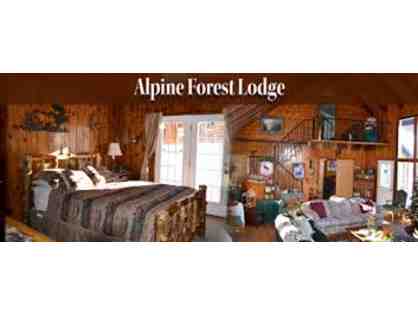 Alpine Forest Lodge: One Night Stay