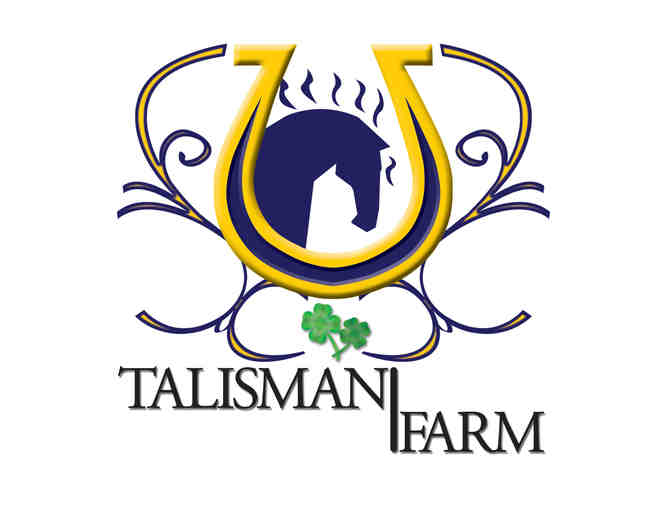 Talisman Farm: One Private Riding Lesson