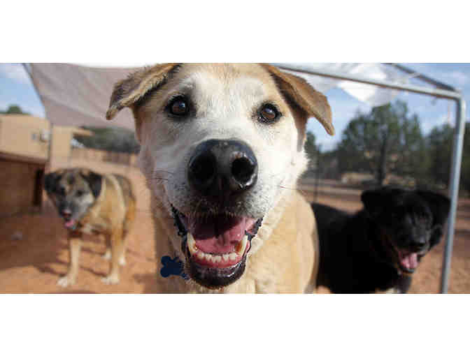 Best Friends Animal Society: Two-Night Stay and Prize Pack