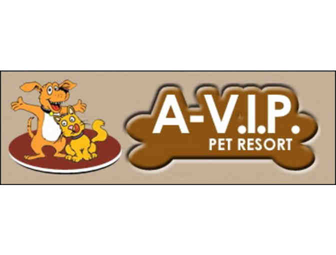 A-V.I.P. Pet Resort: Three Night Stay