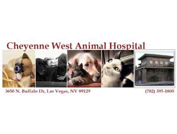 Cheyenne West Animal Hospital: Spay or Neuter Gift Certificate