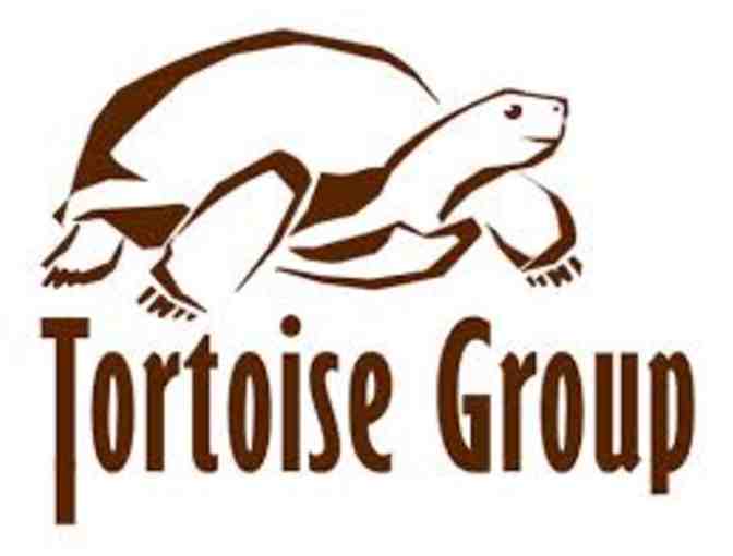 Tortoise Group: Adoption Package